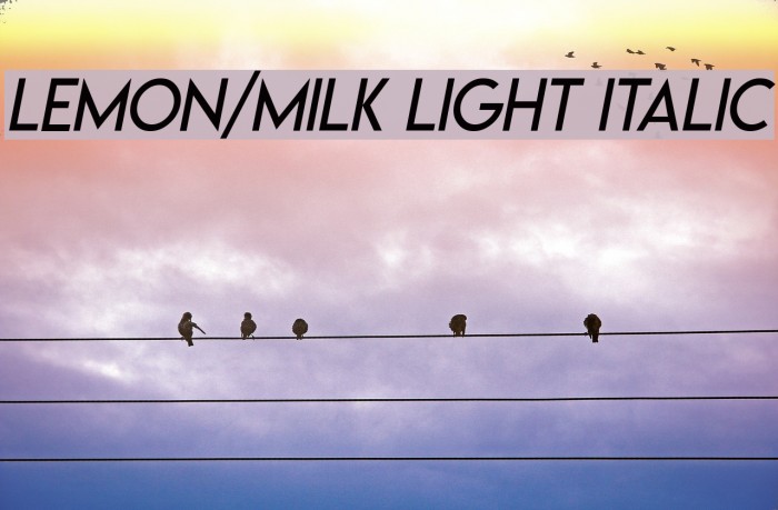 Lemon/Milk light italic Font examples