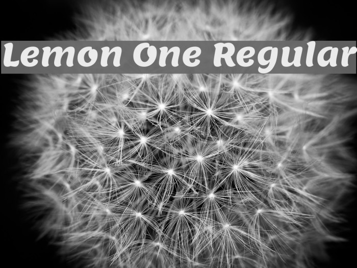Lemon One Regular Font examples