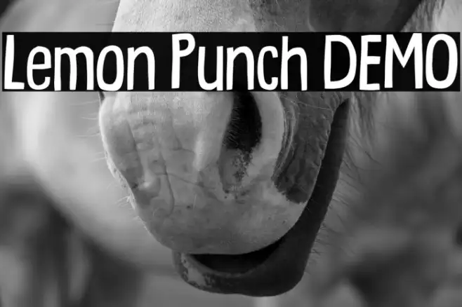 Lemon Punch DEMO Example 3