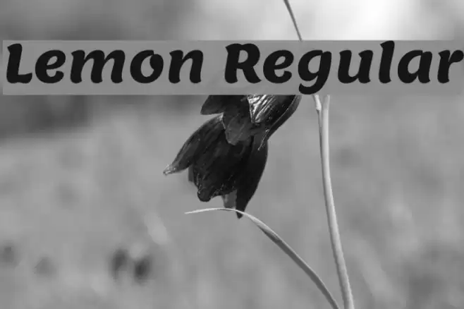 Lemon Regular Шрифта examples