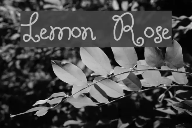 Lemon Rose Font examples