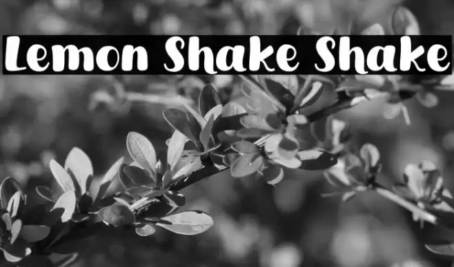 Lemon Shake Shake Font examples