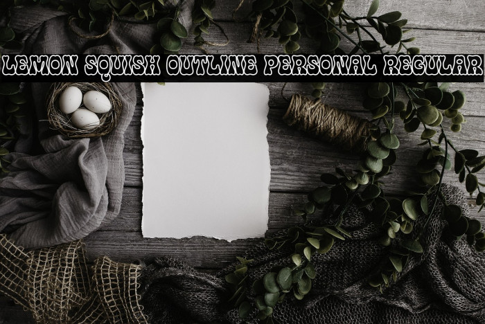 Lemon Squish Outline PERSONAL Regular Example 2