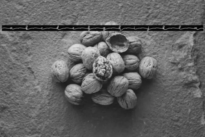 Lemon Tea Demo Font examples