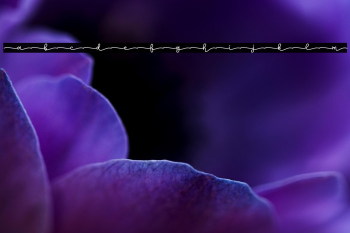 Lemon Tea Demo Example 3