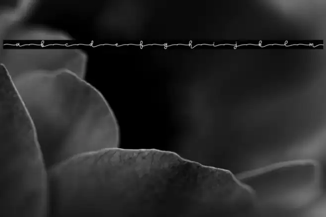 Lemon Tea Demo Font examples