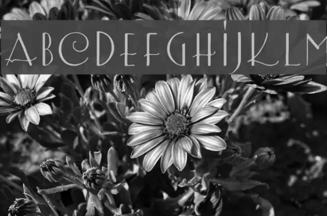 LemonChicken フォント examples