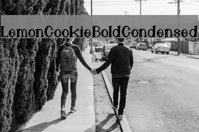 LemonCookieBoldCondensed Font examples