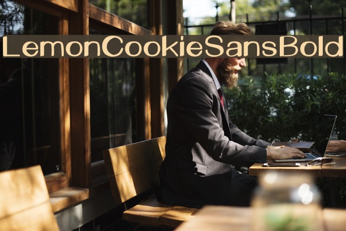 LemonCookieSansBold Font examples