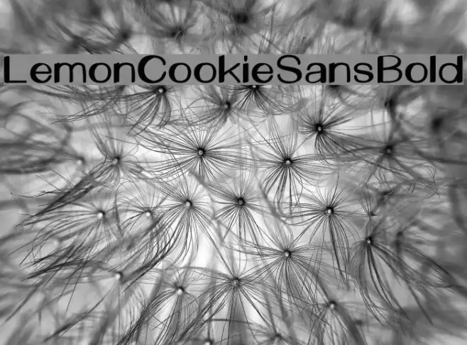LemonCookieSansBold Example 2