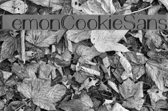 LemonCookieSans Font examples