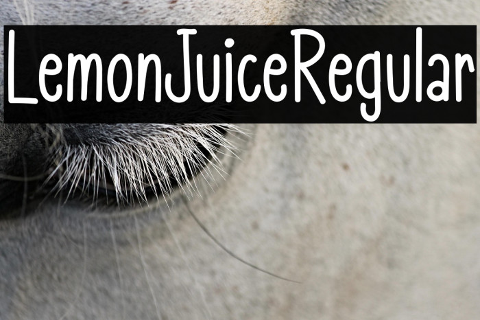 LemonJuiceRegular Example 1