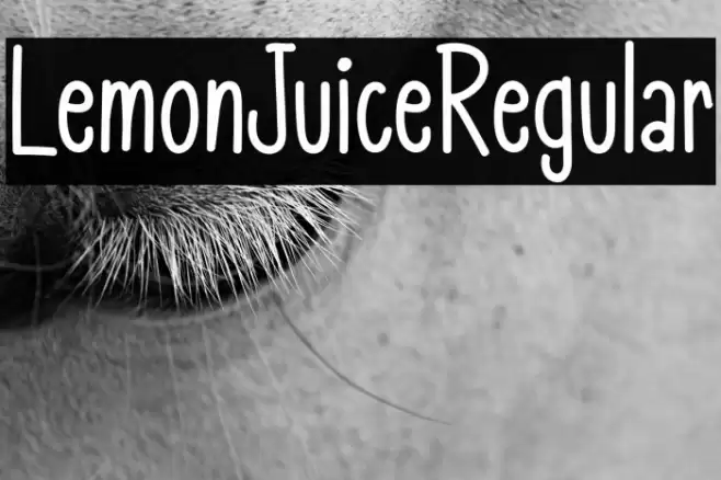 LemonJuiceRegular Font examples