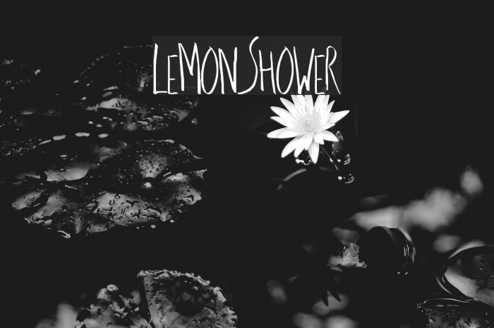 LemonShower Font examples