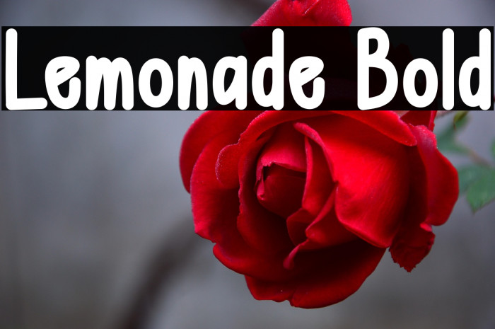 Lemonade Bold Example 2