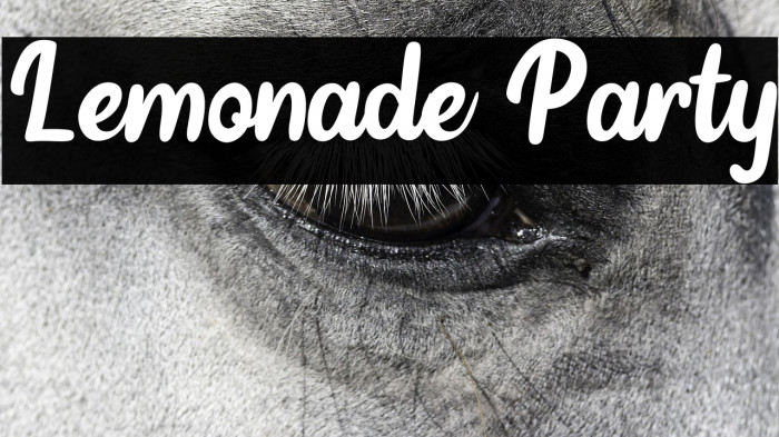 Lemonade Party Example 2