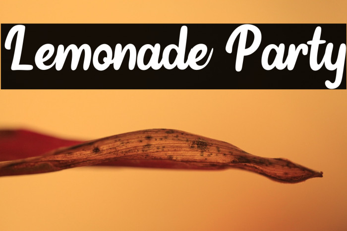 Lemonade Party Example 3