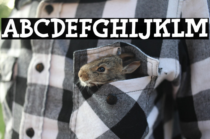 Lemonade Peach DEMO Example 2