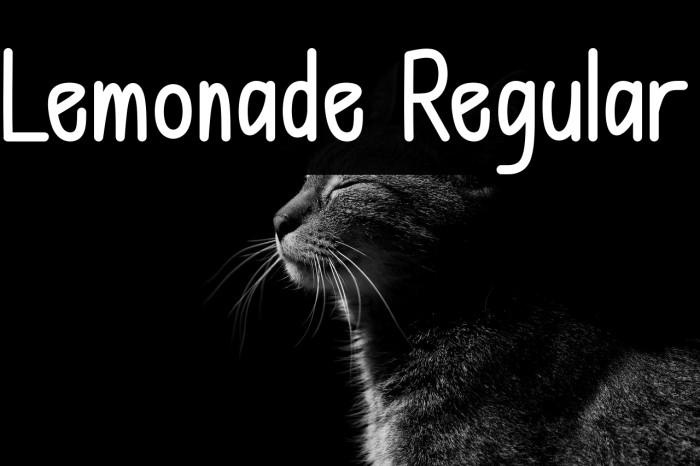 Lemonade Regular Example 3