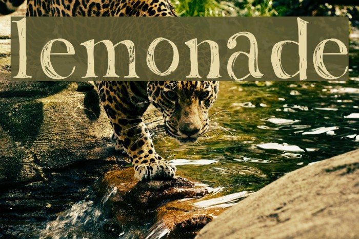 Lemonade Font examples