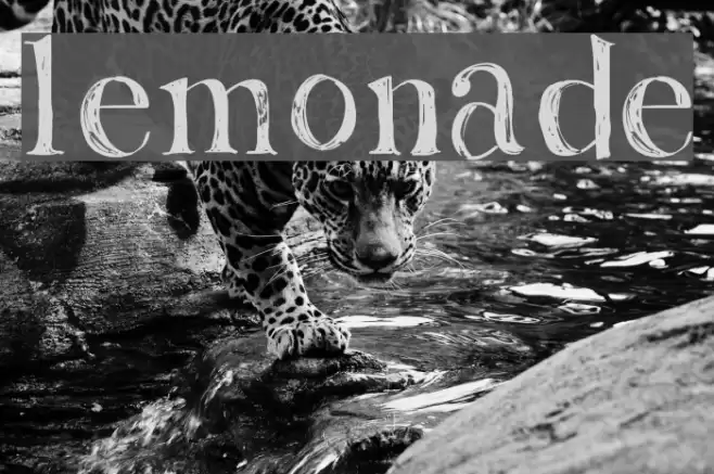 Lemonade Font examples
