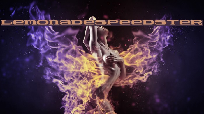 LemonadeSpeedster Example 2