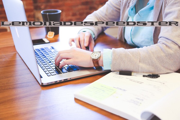 LemonadeSpeedster Example 3