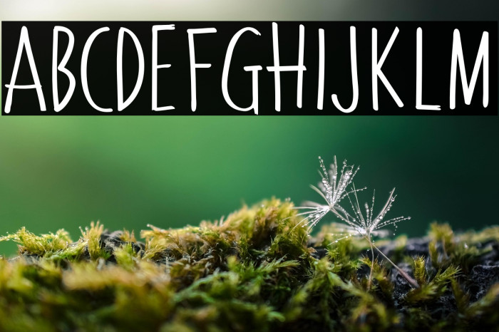 LemonadeStand Example 3