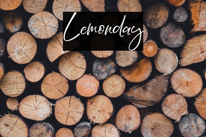 Lemonday Example 2