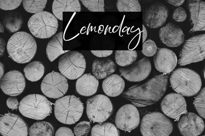 Lemonday Font examples