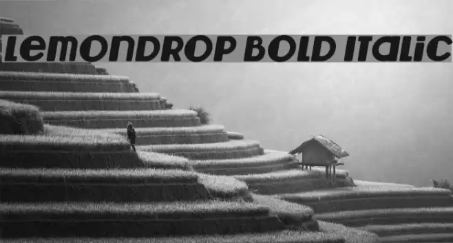 Lemondrop Bold Italic Font examples
