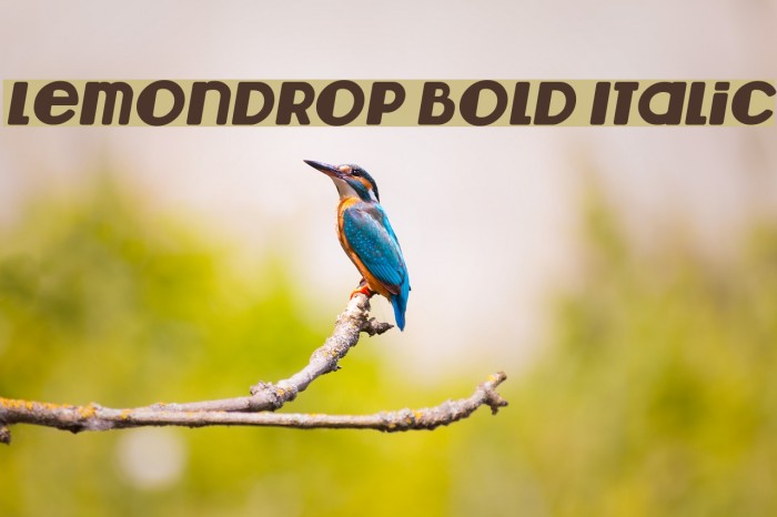 Lemondrop Bold Italic Font examples