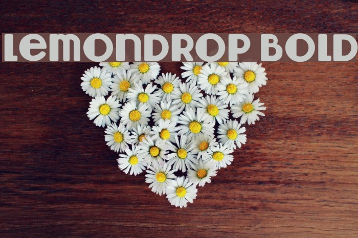 Lemondrop Bold Font examples