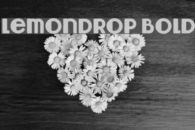 Lemondrop Bold Example 3