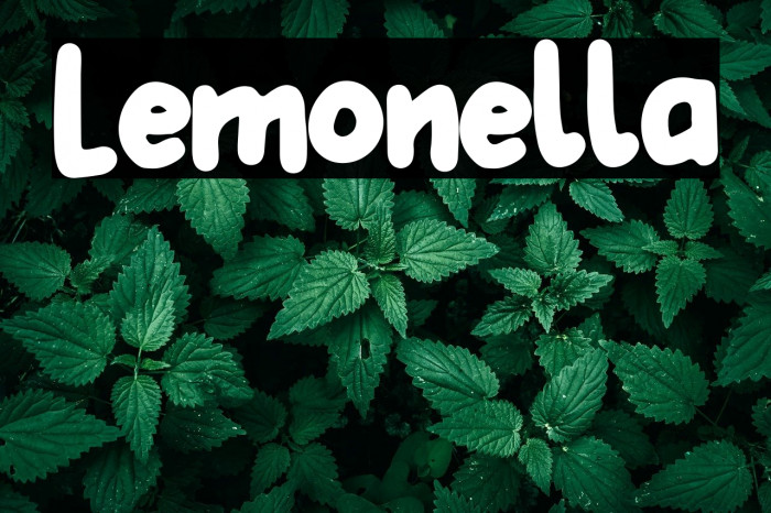 Lemonella Example 3