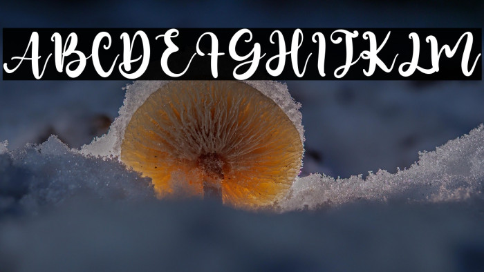 Lemongrass Example 3