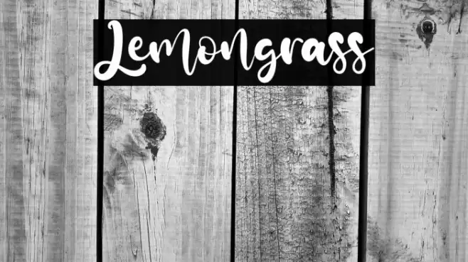 Lemongrass Font examples