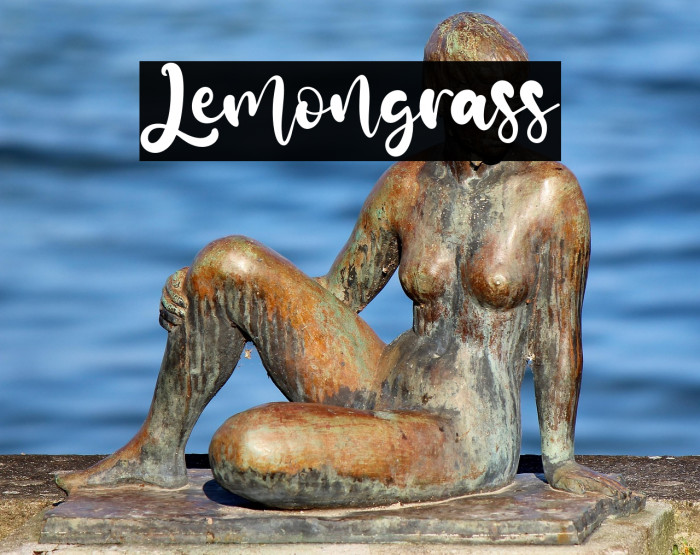 Lemongrass Example 3