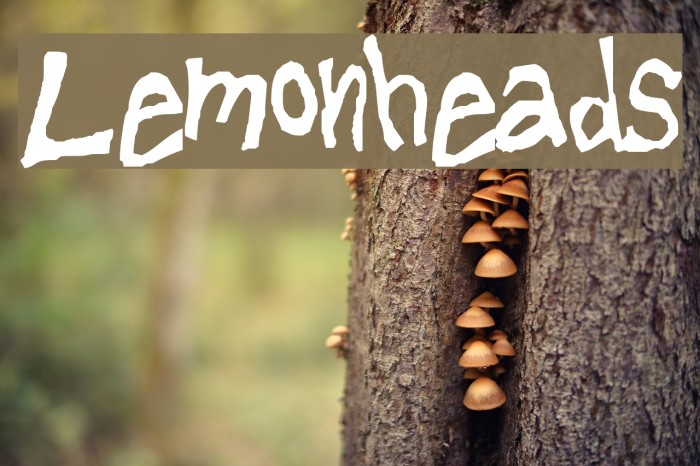 Lemonheads Font examples