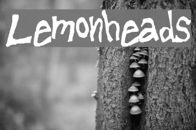 Lemonheads Example 2