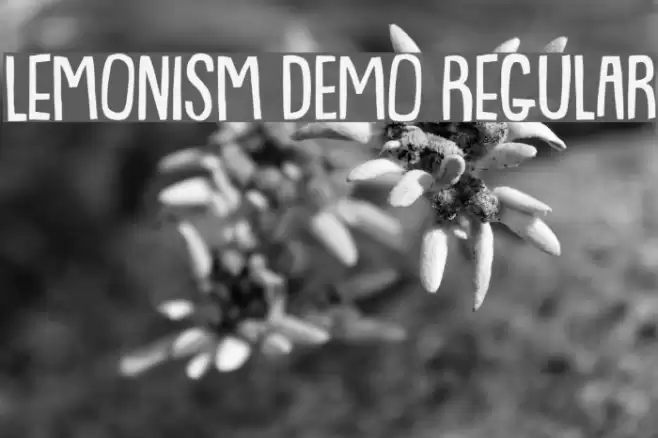 Lemonism DEMO Regular Font examples
