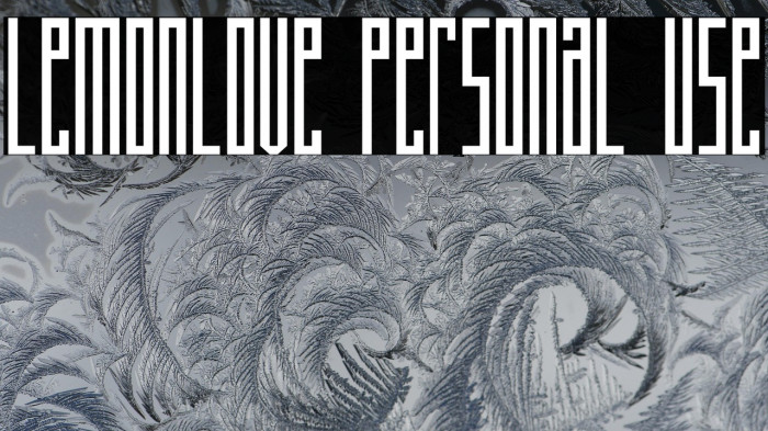 Lemonlove Personal Use Example 3