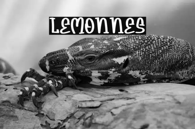 Lemonnes Font examples