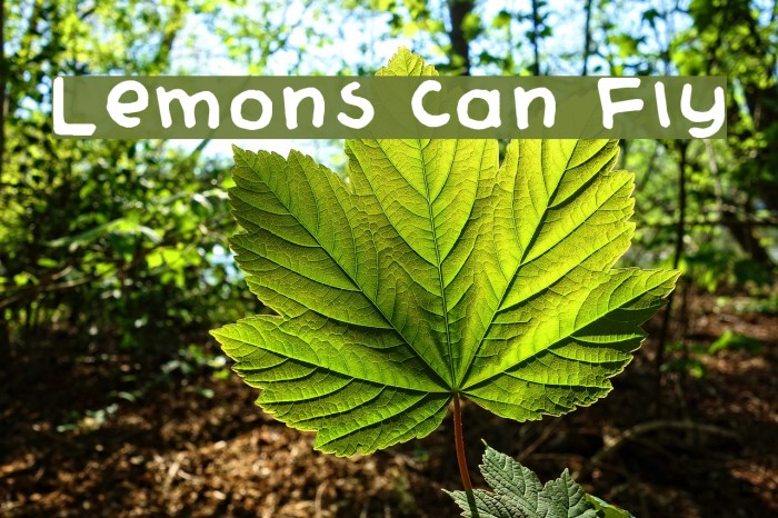 Lemons Can Fly Example 2