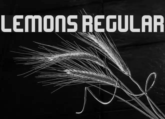 Lemons Regular Font examples