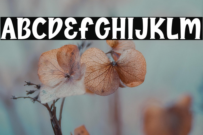 Lemonspark Example 3