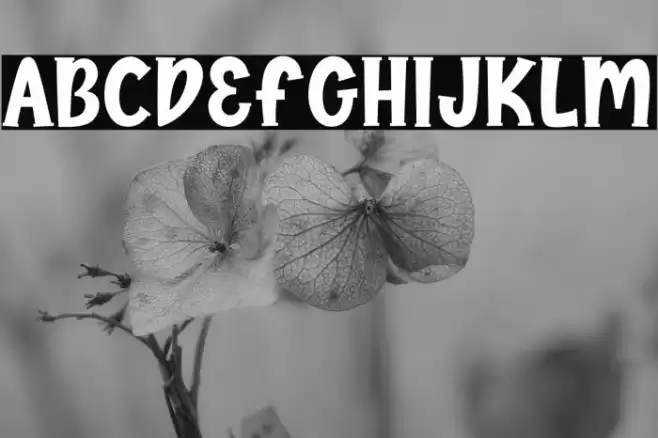 Lemonspark Font examples