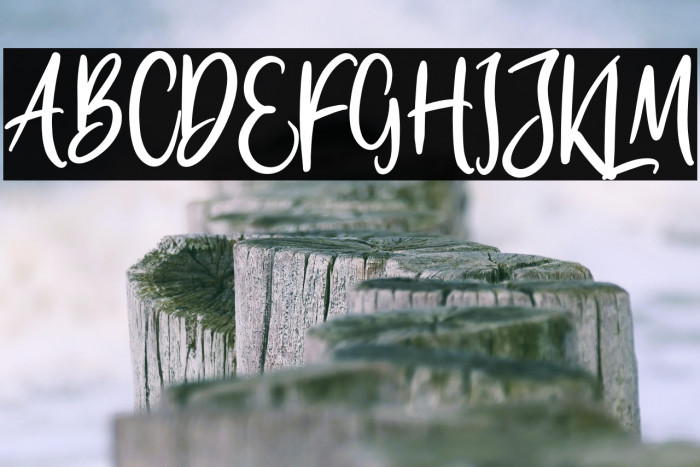 Lemonte Buster Example 2