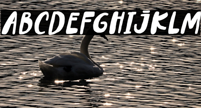 Lemontea Squash Italic Example 1