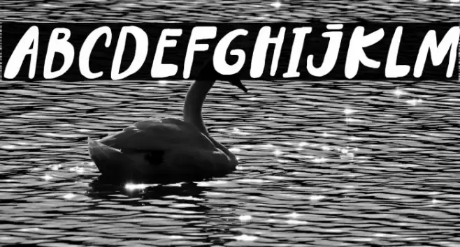 Lemontea Squash Italic Font examples